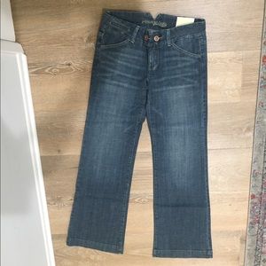 American Eagle Wide Leg Trouser Jean